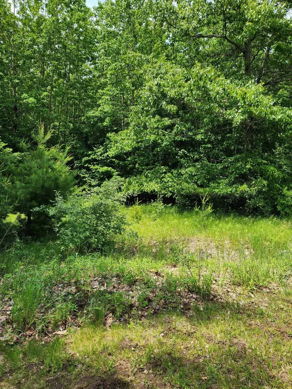 00 Opal Ridge Drive #64, Onekama, MI 49675