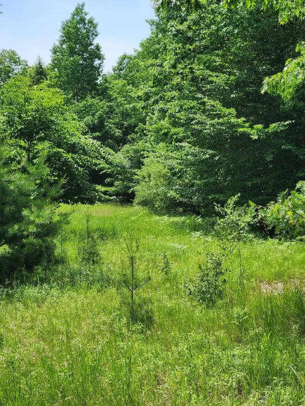 00 Opal Ridge Drive #64, Onekama, MI 49675