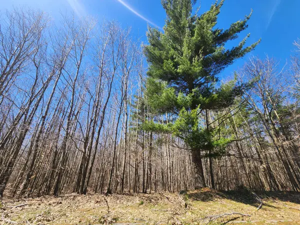 W Starlight Ridge Circle #62, Onekama, MI 49675