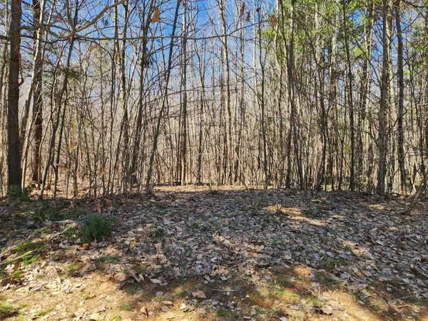 W Starlight Ridge Circle #62, Onekama, MI 49675