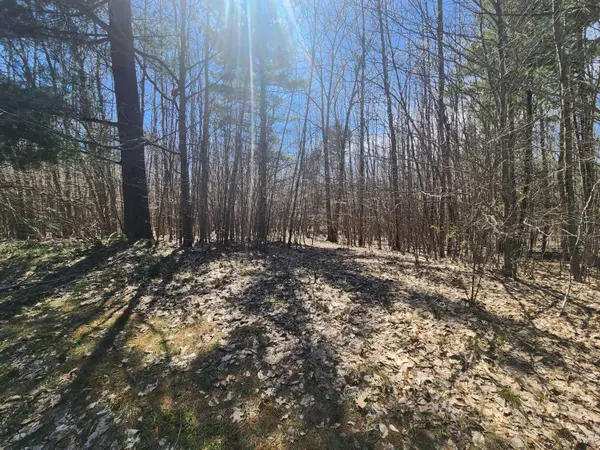 W Starlight Ridge Circle #62, Onekama, MI 49675