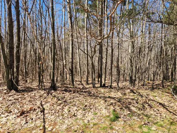 W Starlight Ridge Circle #62, Onekama, MI 49675