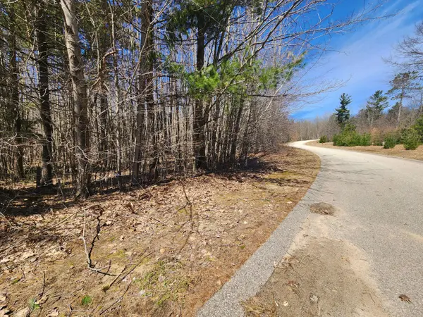 W Starlight Ridge Circle #62, Onekama, MI 49675