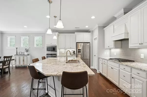 13203 Horned Lark DR, Charlotte, NC 28278