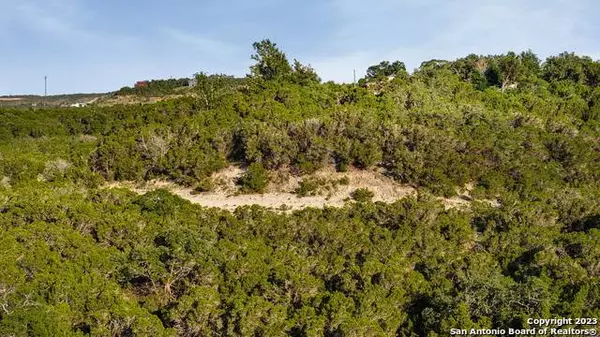 1729 Whispering Hills Dr, Canyon Lake, TX 78133