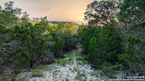 1729 Whispering Hills Dr, Canyon Lake, TX 78133-6983