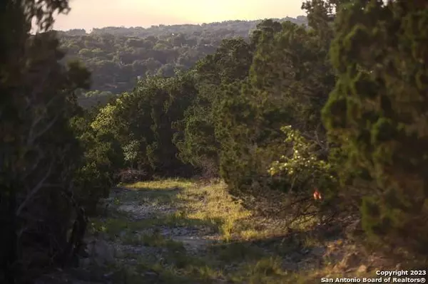 1729 Whispering Hills Dr, Canyon Lake, TX 78133-6983