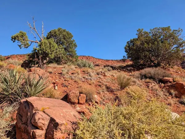 1192 E Country Club Dr, Kanab, UT 84741