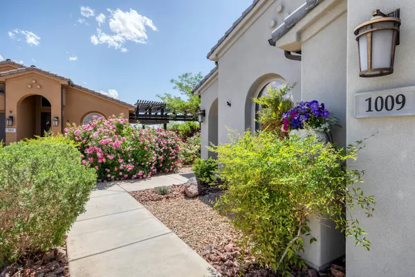 1009 N BLUE TOPAZ DR, Washington, UT 84780
