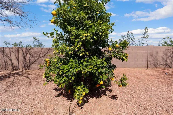 13002 W SAN JUAN Avenue, Litchfield Park, AZ 85340