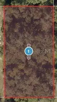 ELM ST, Lady Lake, FL 32159