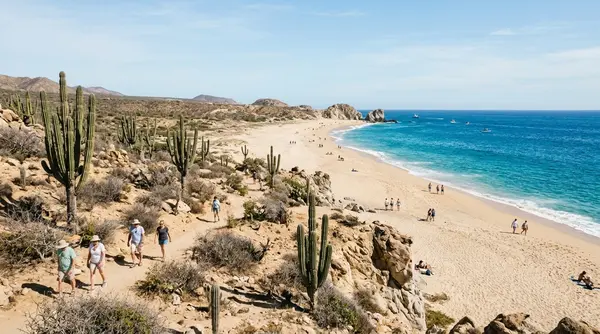 Best Time of Year to Visit Los Cabos: What Each Season Actually Feels Like