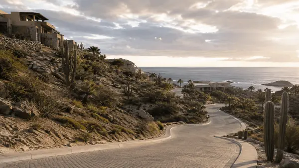 What Luxury Buyers Find Along the Pacific Coast of Los Cabos,Selva & Co Realty Los Cabos