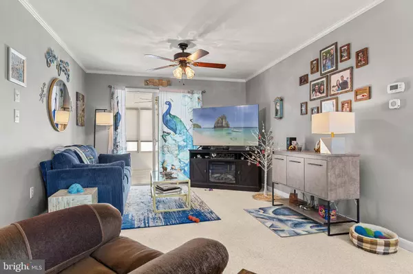 310 BRANCH WAY, Millsboro, DE 19966