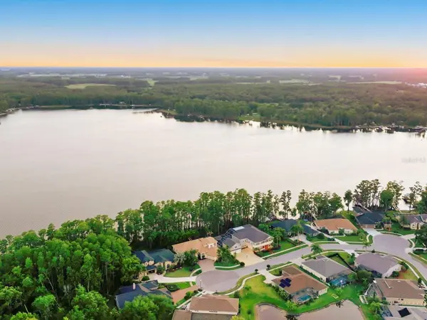 21019 MARSH HAWK DR, Land O Lakes, FL 34638