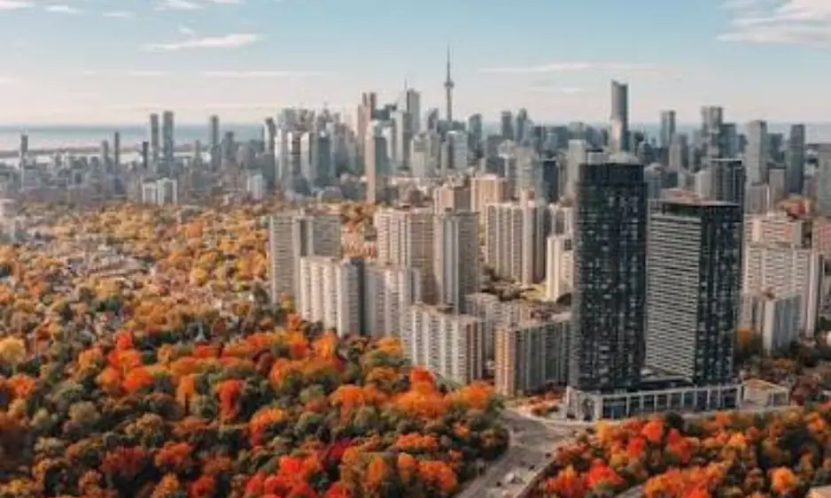toronto (1)