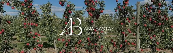 Best Apple Picking in the GTA: 2026 Guide to Orchards Near Toronto
