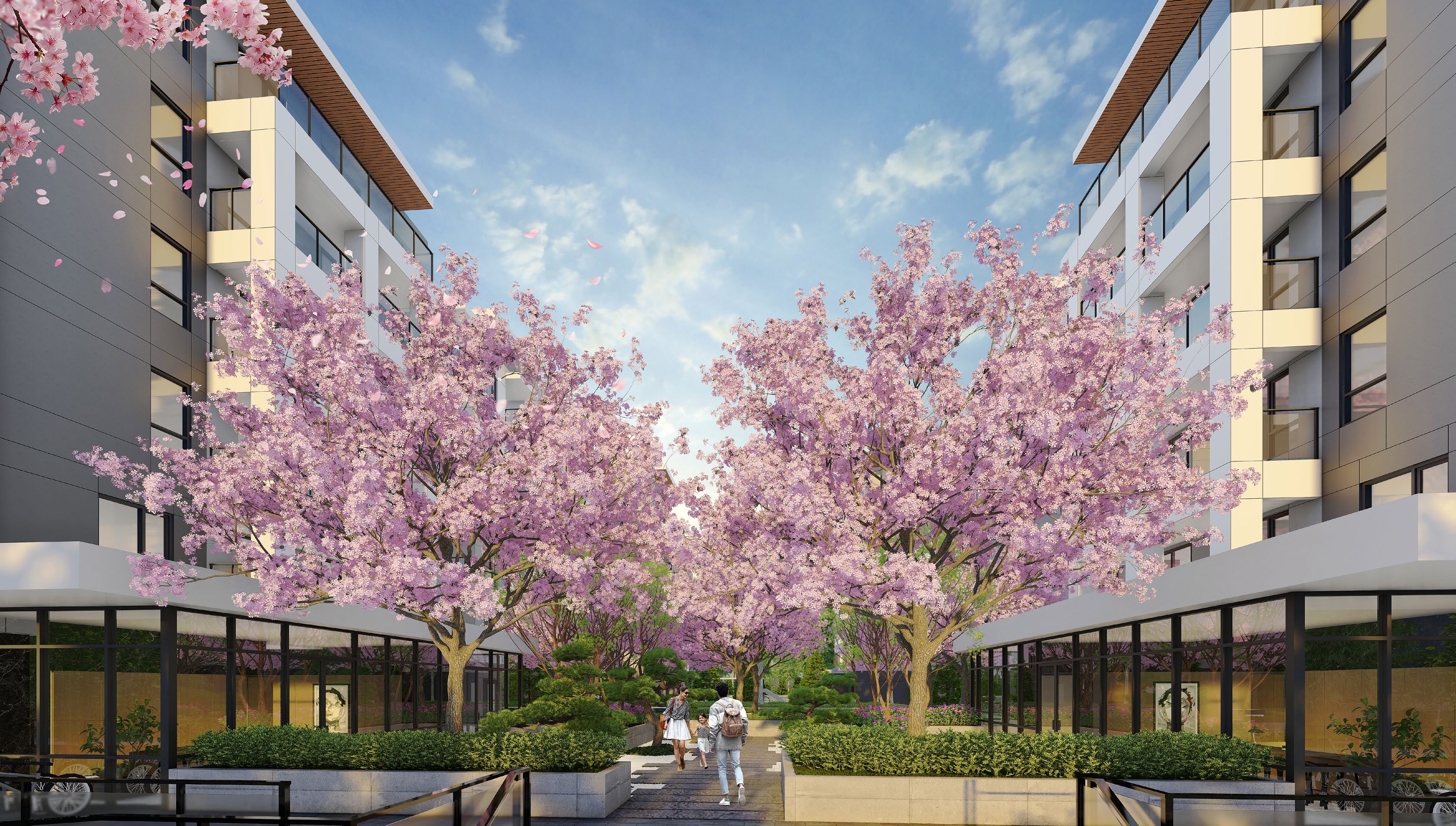 Kamilia condos cherry blossom courtyard render by Kingdom and Everprosper Development in Downtown Langley City