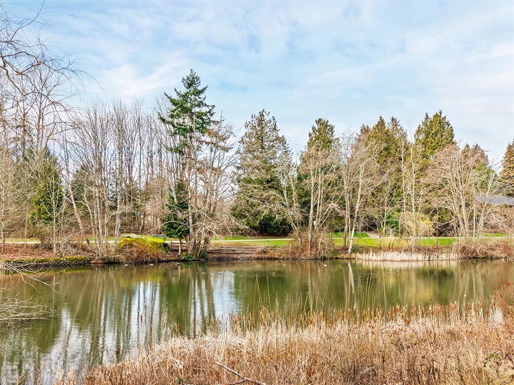 The pond at Sunnyside Park, a quiet daily-walk anchor inside the neighbourhood