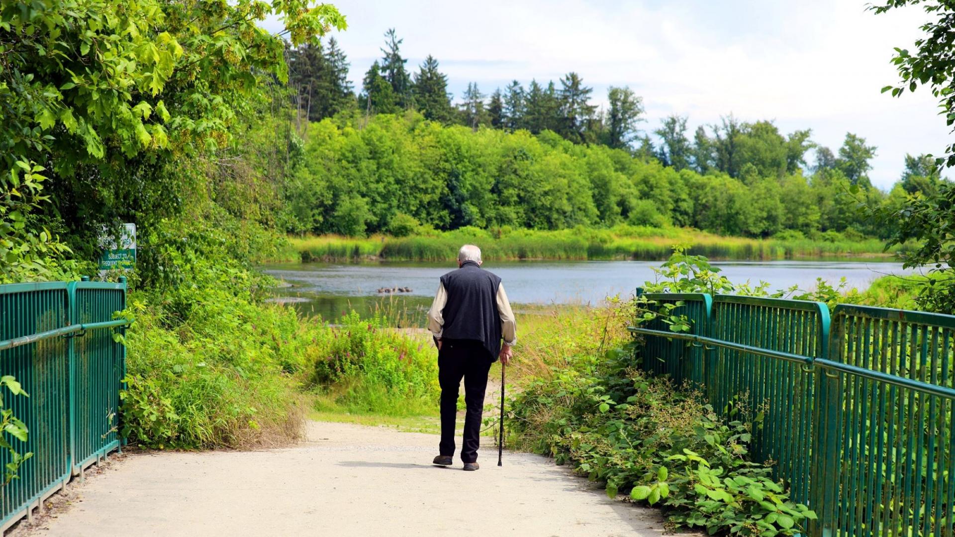 Surrey Lake Park, a scenic Fleetwood-area natural area with a 1.5 km nature trail, lake, & wetland habitat