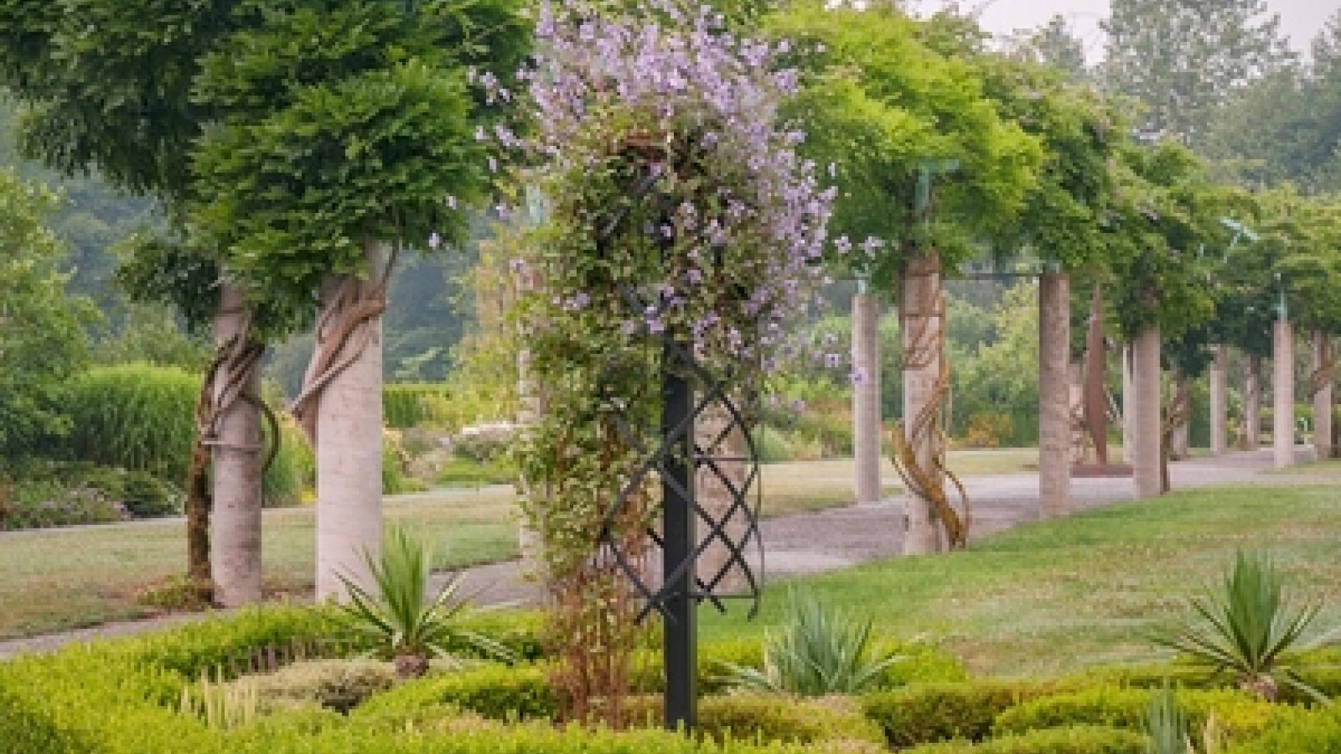 The pergola at Fleetwood Gardens, one of Surrey's most well-maintained gardens & a hidden-gem natural pocket inside Fleetwood