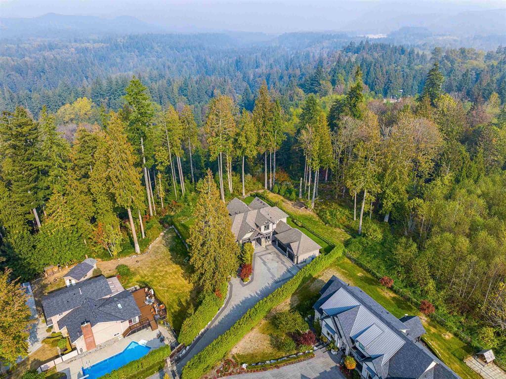 Aerial view of a Websters Corners acreage estate amid mature treed lots