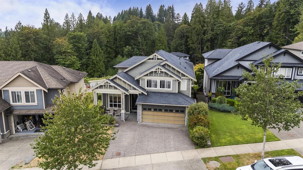 Silver Valley Maple Ridge detached street with mountain backdrop