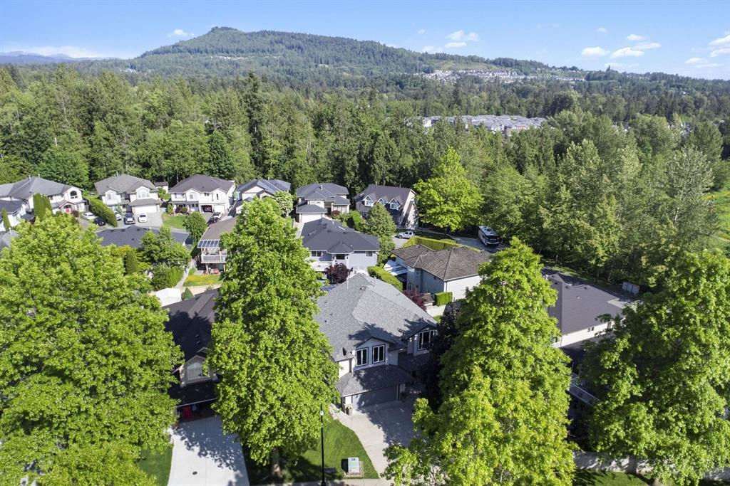 Cottonwood Maple Ridge neighbourhood drone view