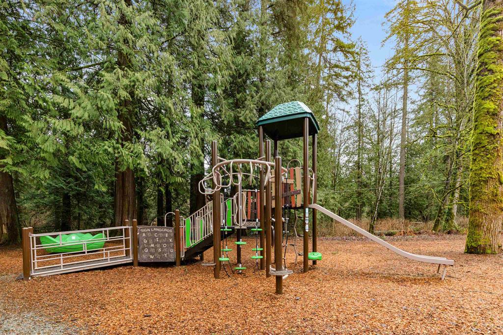 Albion Park playground