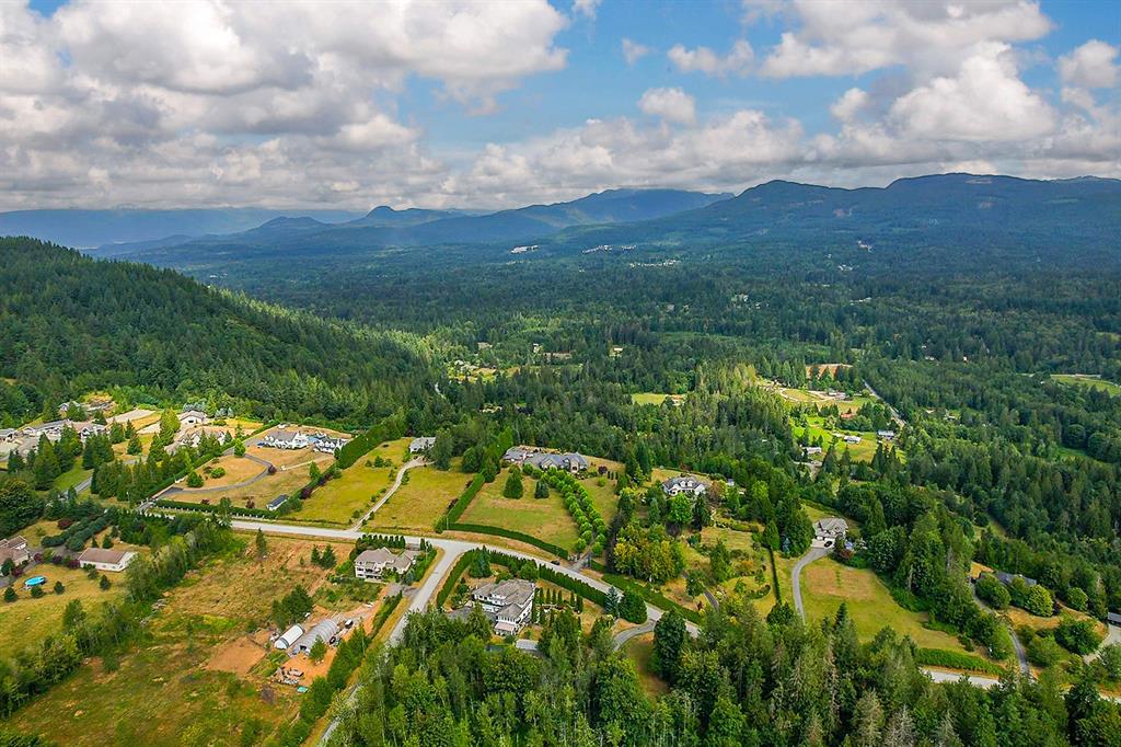 Aerial view of the Thornhill slope showing rural large-lot homes amid forest