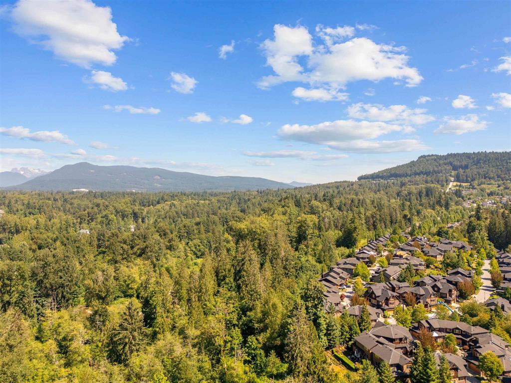 Drone aerial of Albion residential streets in Maple Ridge, the natural & outdoor character of established suburbia