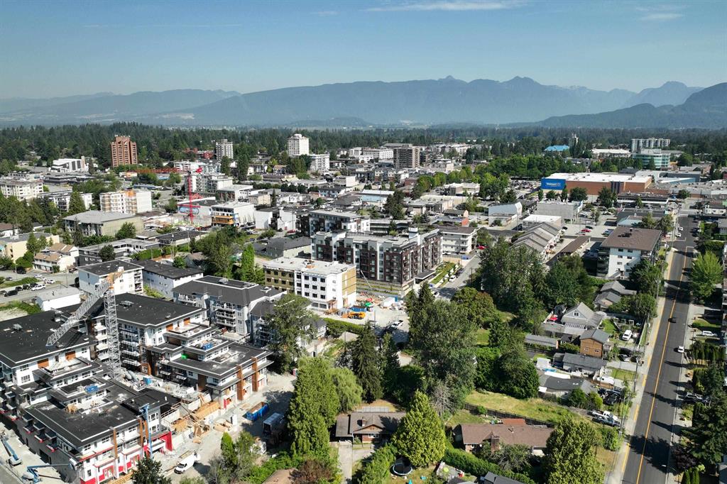 Haney West Central downtown drone view