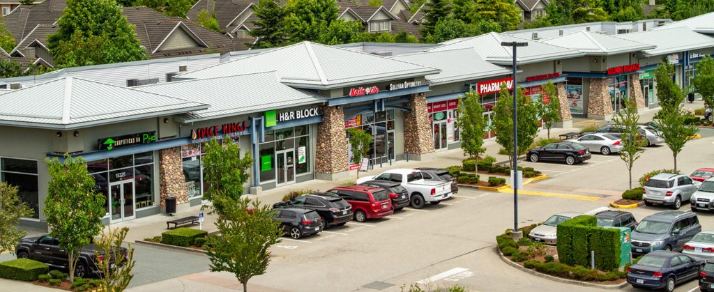 Central Surrey lifestyle