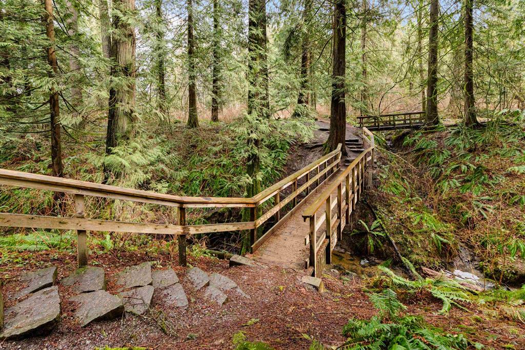 Walking trail in Albion, Maple Ridge