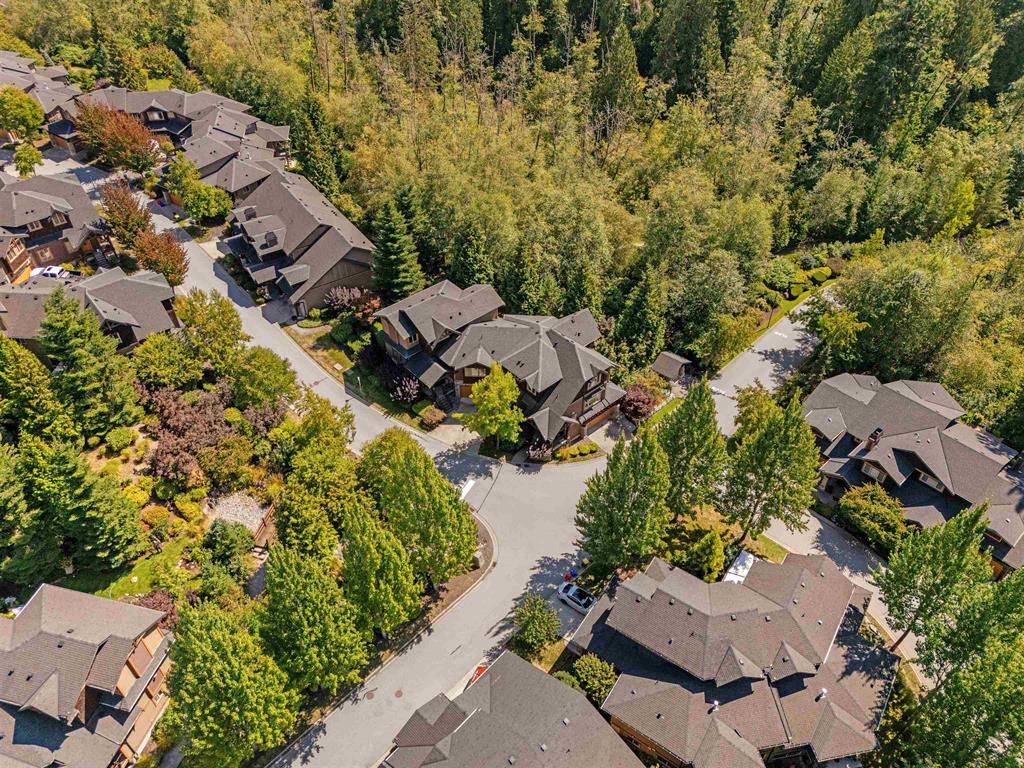 Albion Maple Ridge townhouse neighbourhood drone view