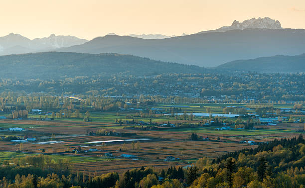 Sumas Prairie ALR farmland looking south