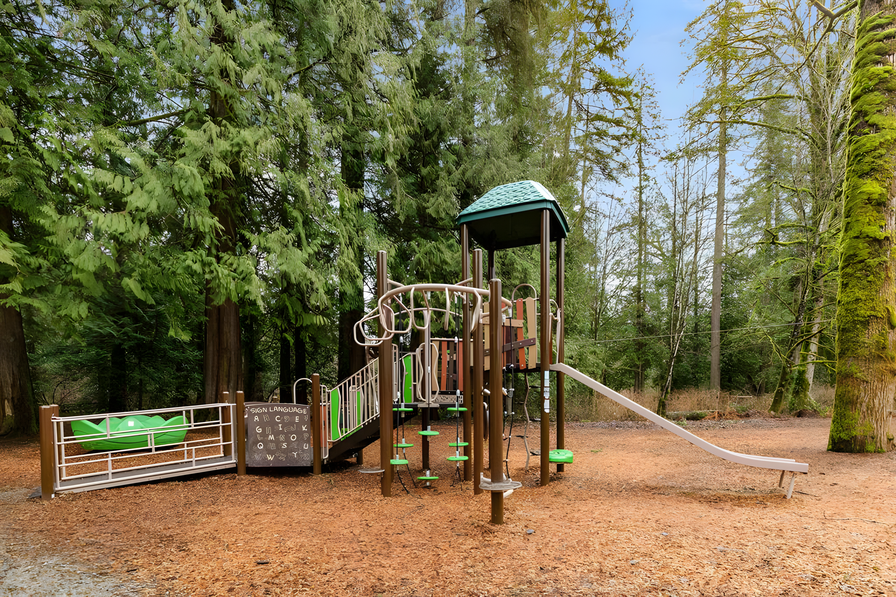 Albion neighbourhood playground