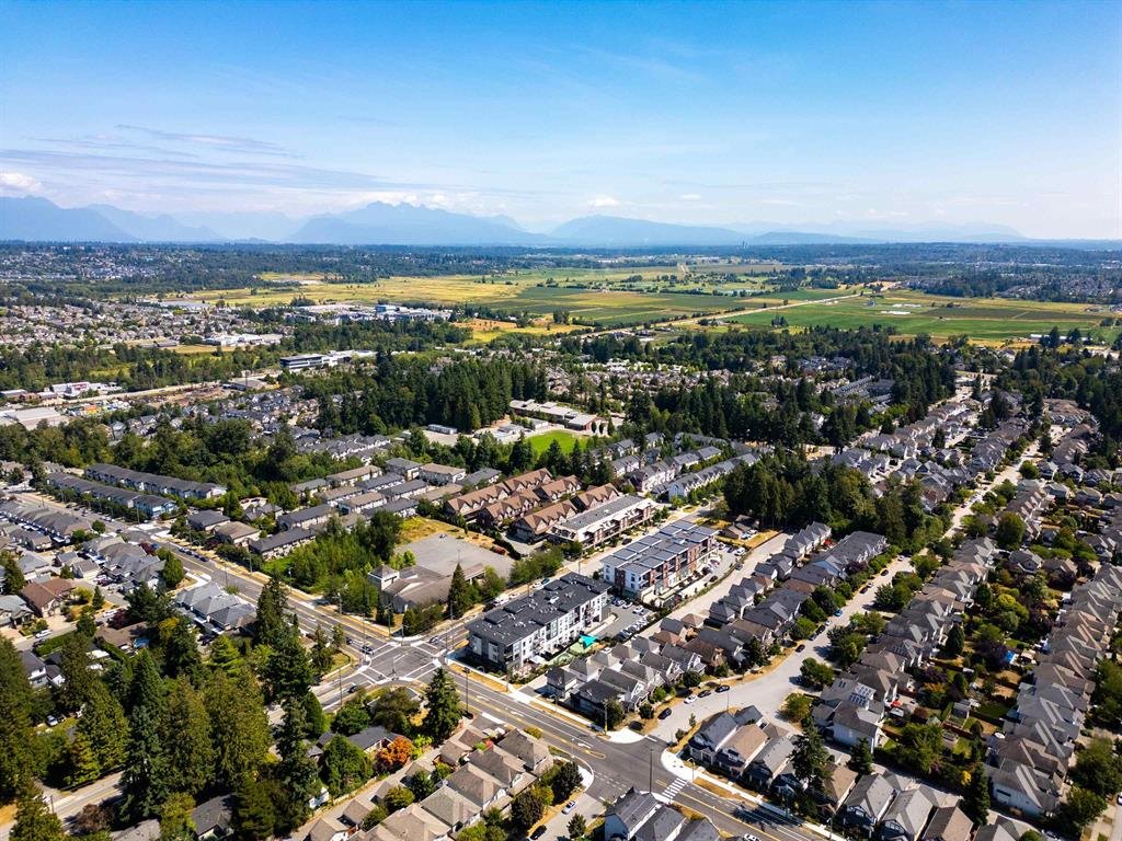 Sullivan Surrey residential streetscape
