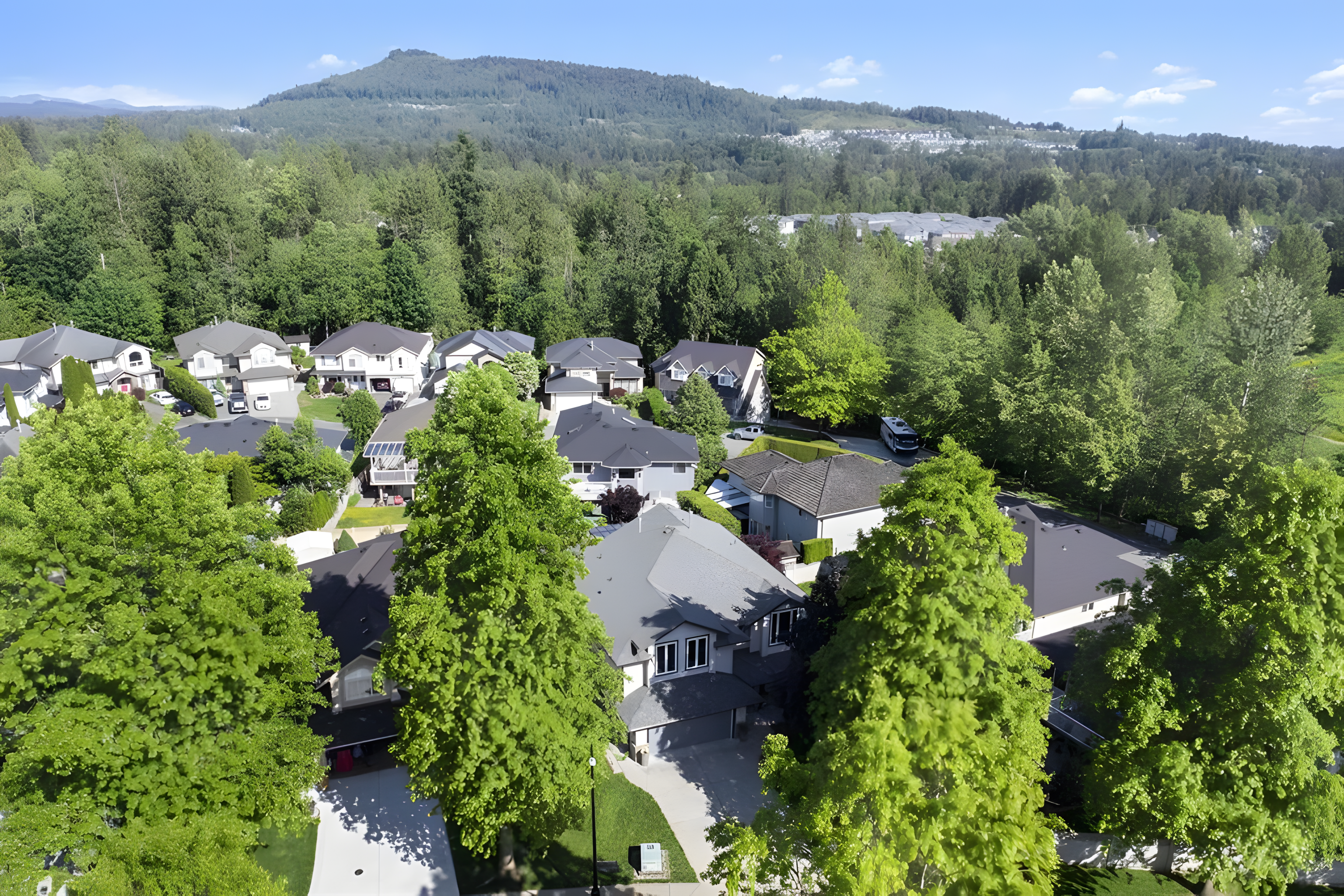 Drone view over Cottonwood