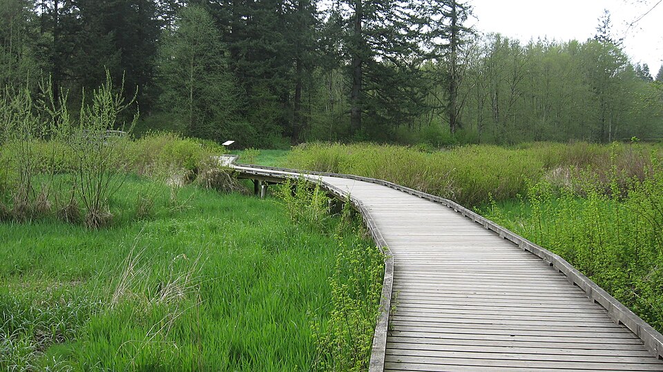 Acreage setting and lot character in Campbell Valley