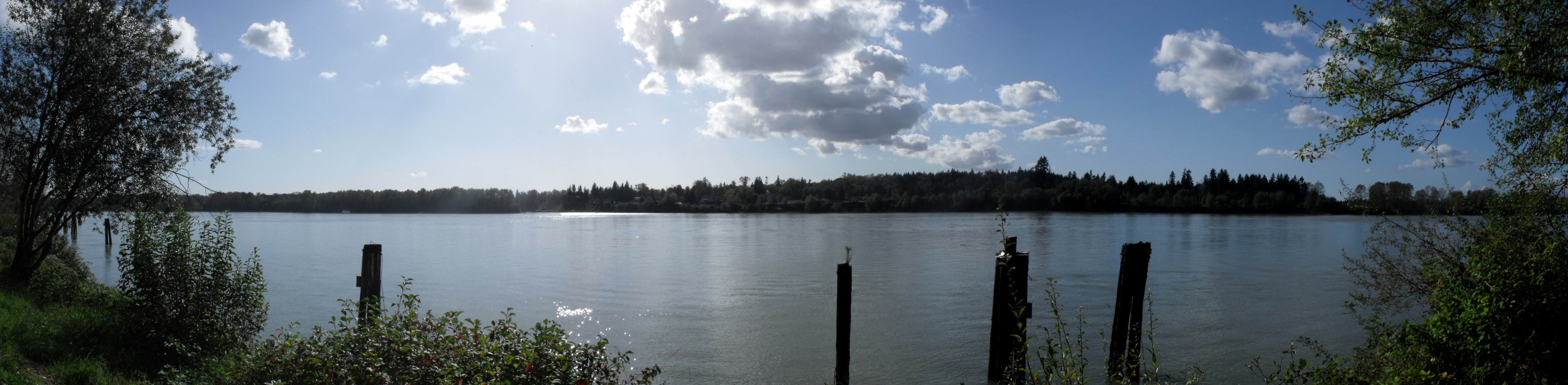 Kanaka Creek meeting the Fraser River, Albion Maple Ridge