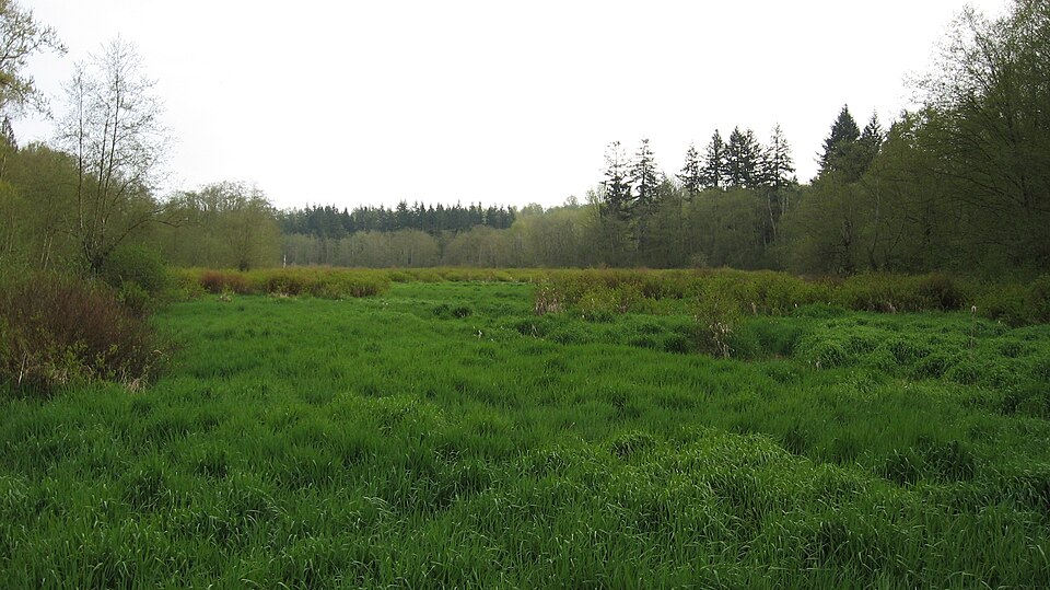 Campbell Valley open space and rural landscape