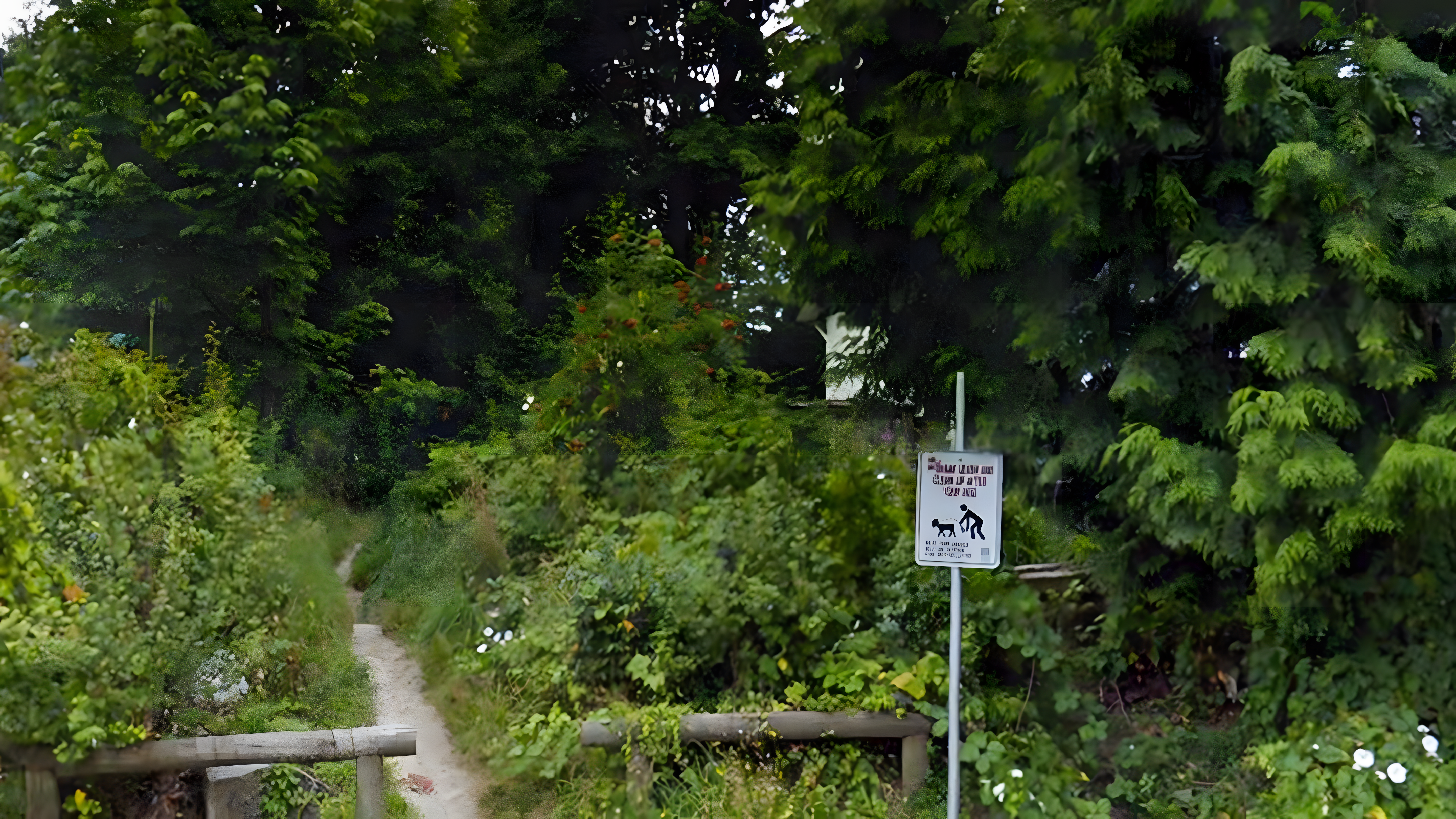 Cedar Hills Park