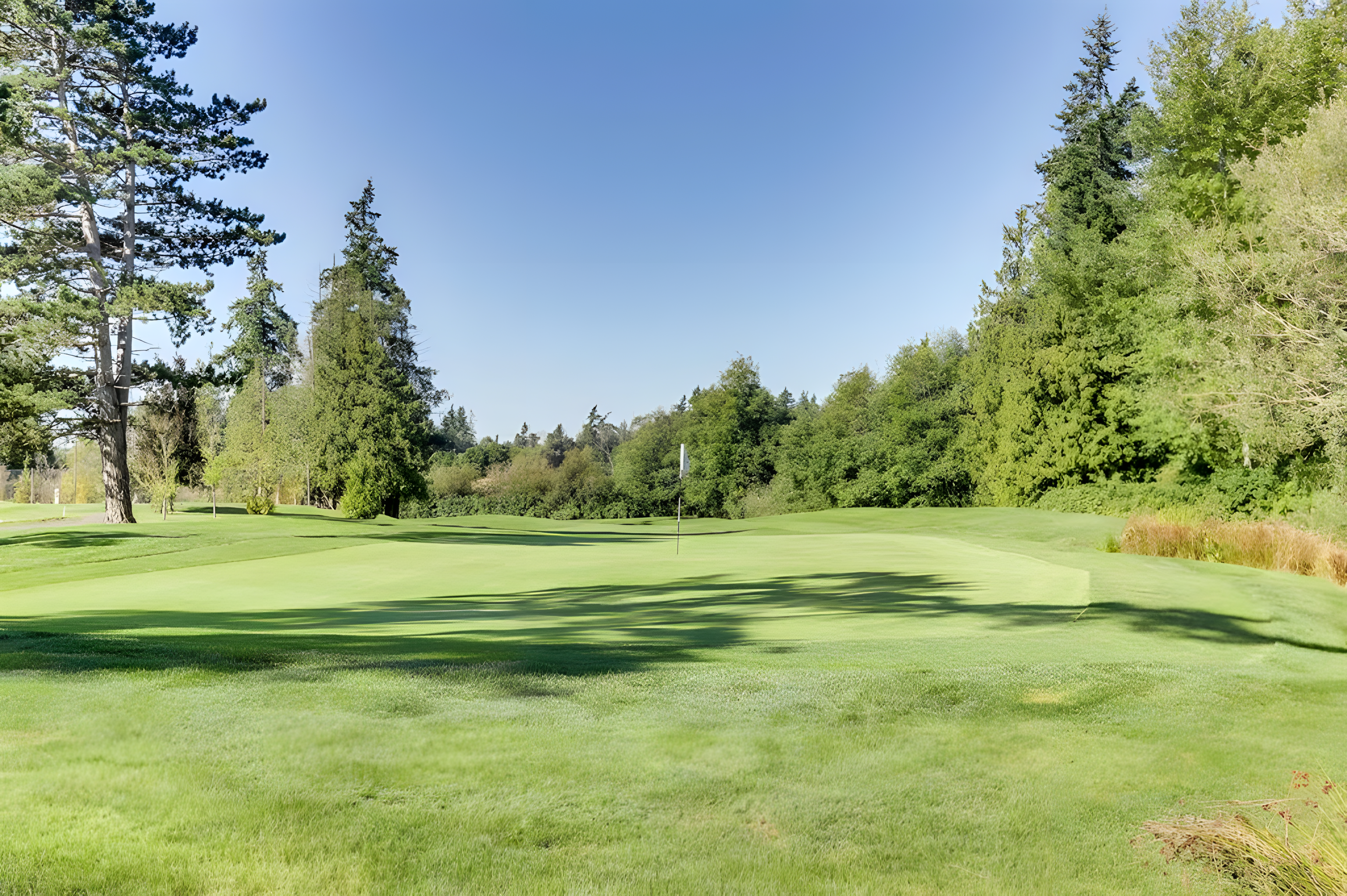 Hazelmere Golf Course green