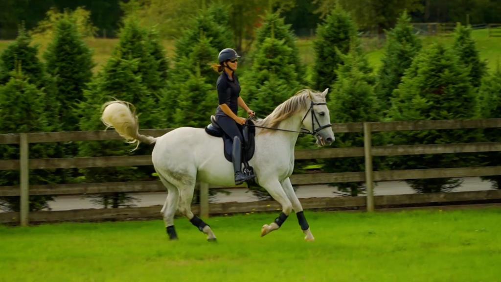 A rider on horseback on a rural Langley property