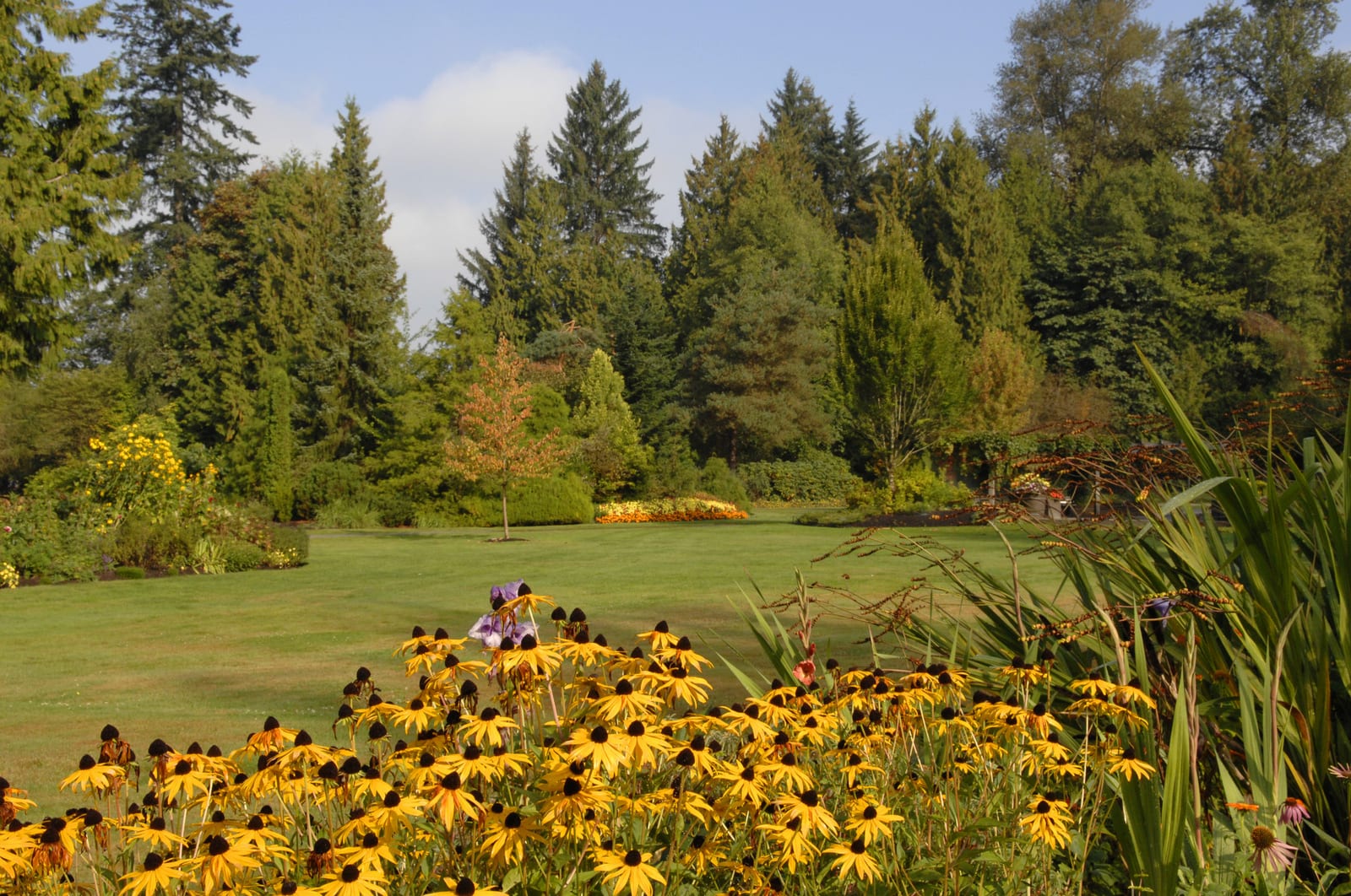 Flower beds and lawn in the gardens at Bear Creek Park, Surrey