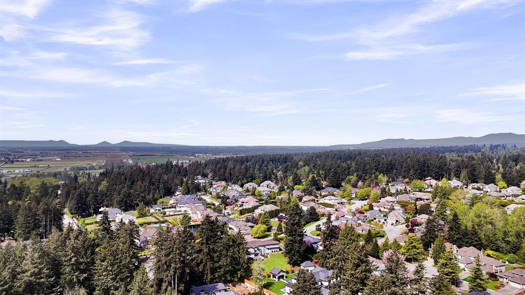 Aerial view of homes under tall conifers in Panorama Ridge, Surrey
