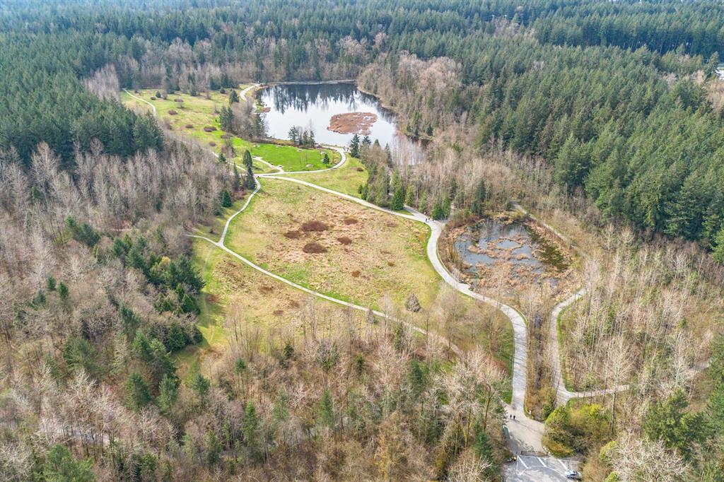 Aerial view of the lake and trails in Green Timbers Urban Forest