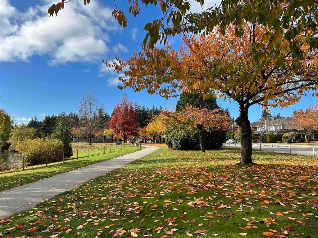 An autumn path and lawn beside a pond in Panorama Ridge, Surrey