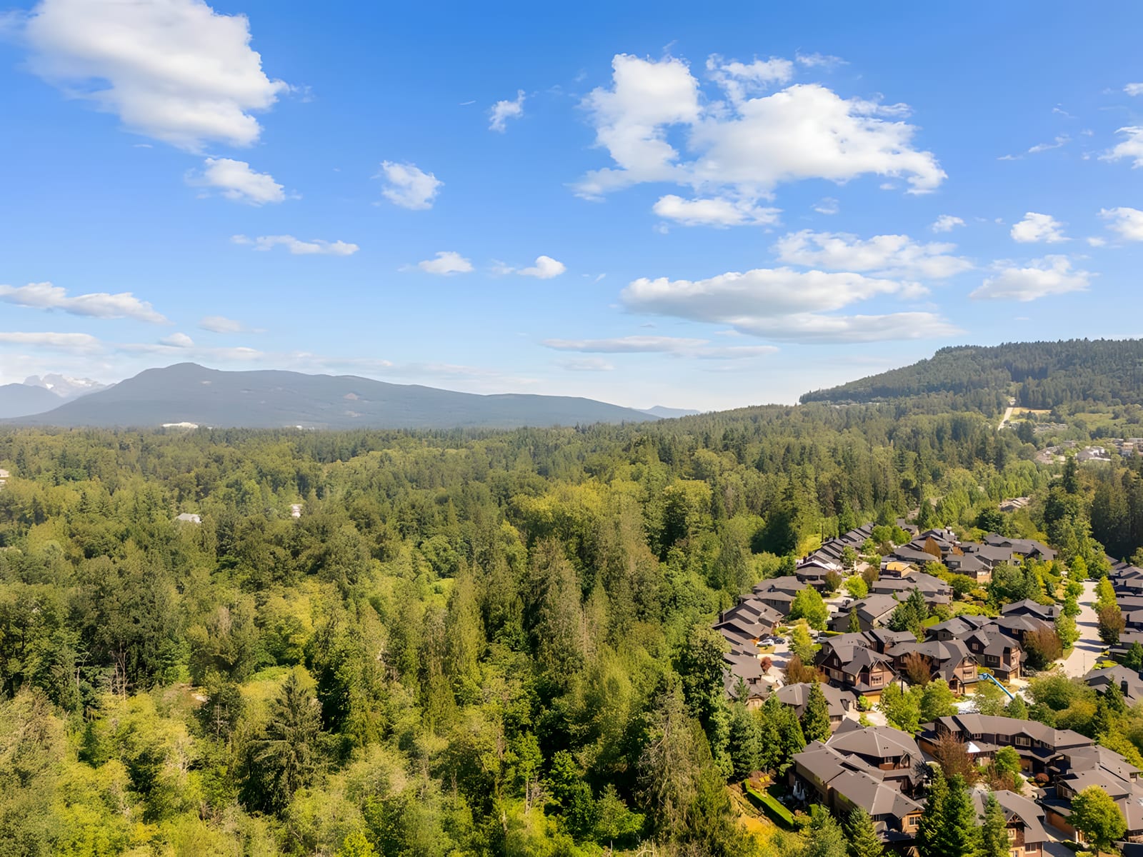 Aerial view of townhomes beside a forest in Albion, Maple Ridge